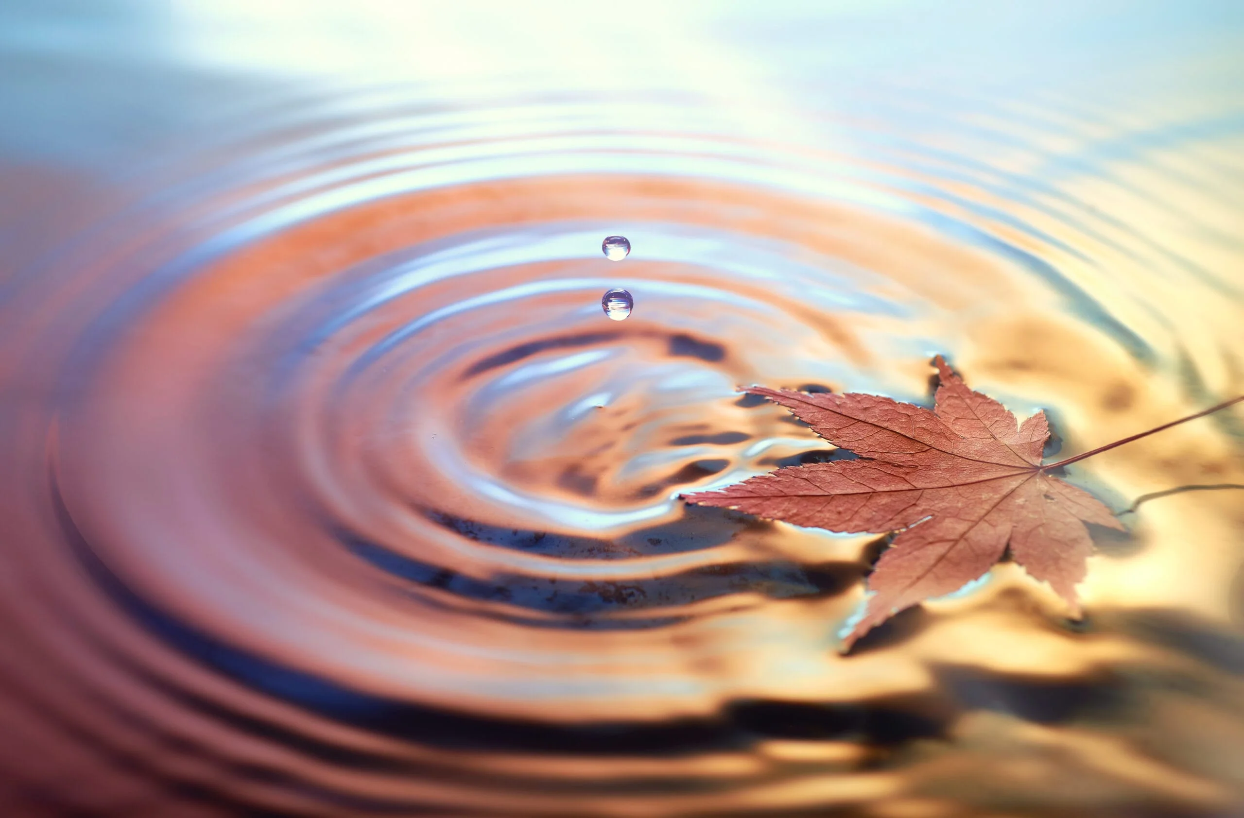 Embracing Wellness as the Seasons Change